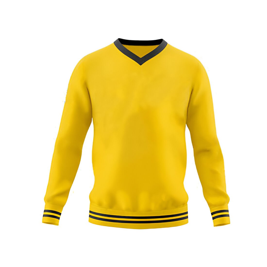 Classic V-Neck Sweatshirt